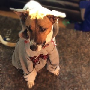 Meet your Posher, Elisa